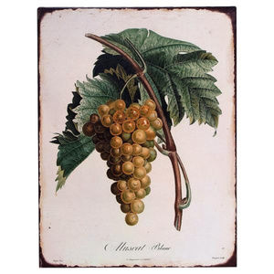 Farmhouse Grapes Tin Sign Wall Hanging